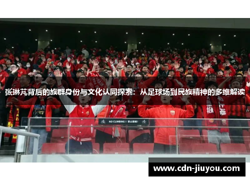 张琳芃背后的族群身份与文化认同探索：从足球场到民族精神的多维解读