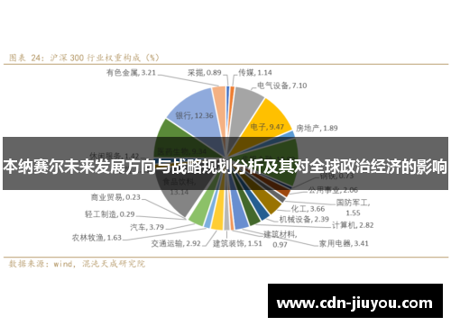 本纳赛尔未来发展方向与战略规划分析及其对全球政治经济的影响