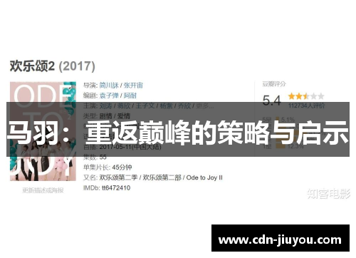 马羽：重返巅峰的策略与启示