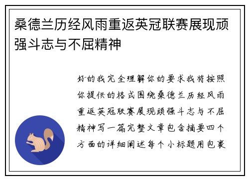 桑德兰历经风雨重返英冠联赛展现顽强斗志与不屈精神